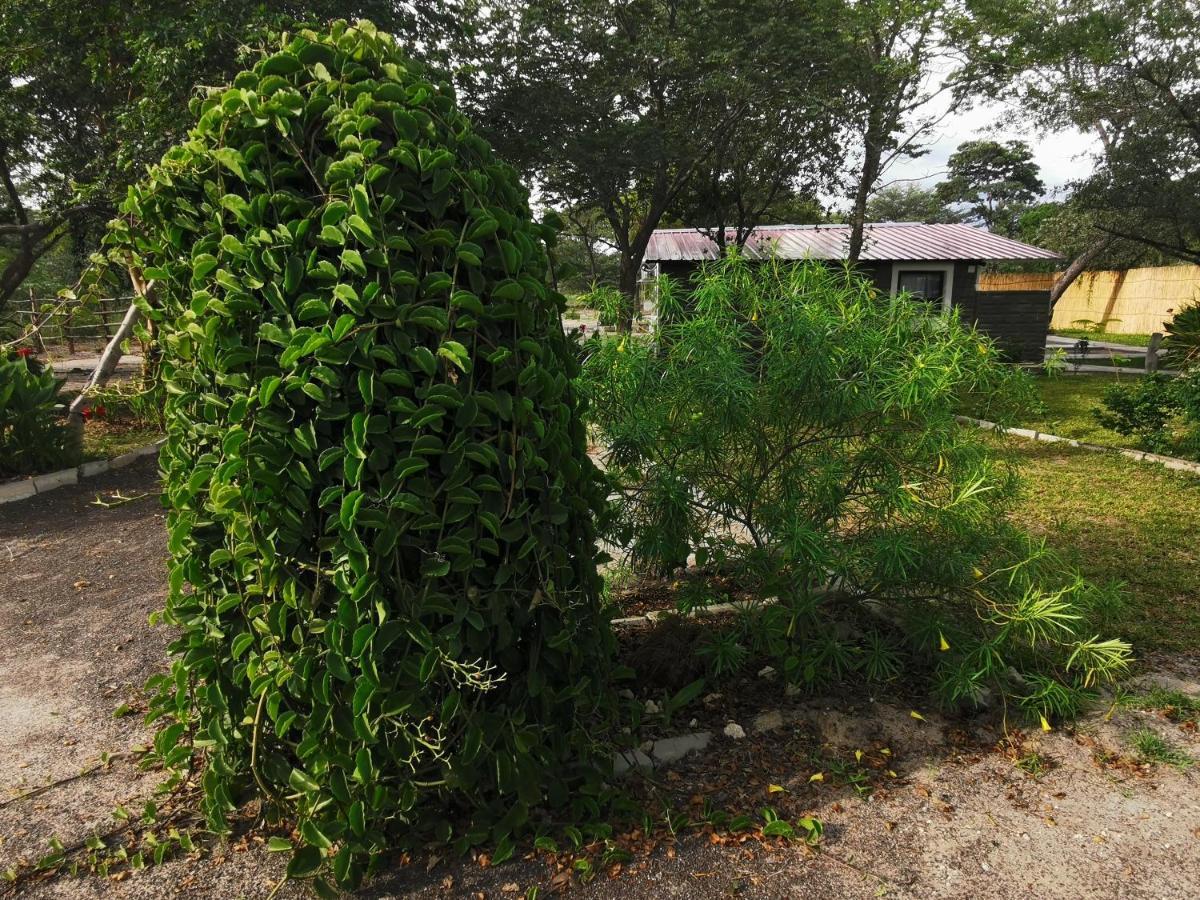 Happy Forest B&B Katima Mulilo Kültér fotó