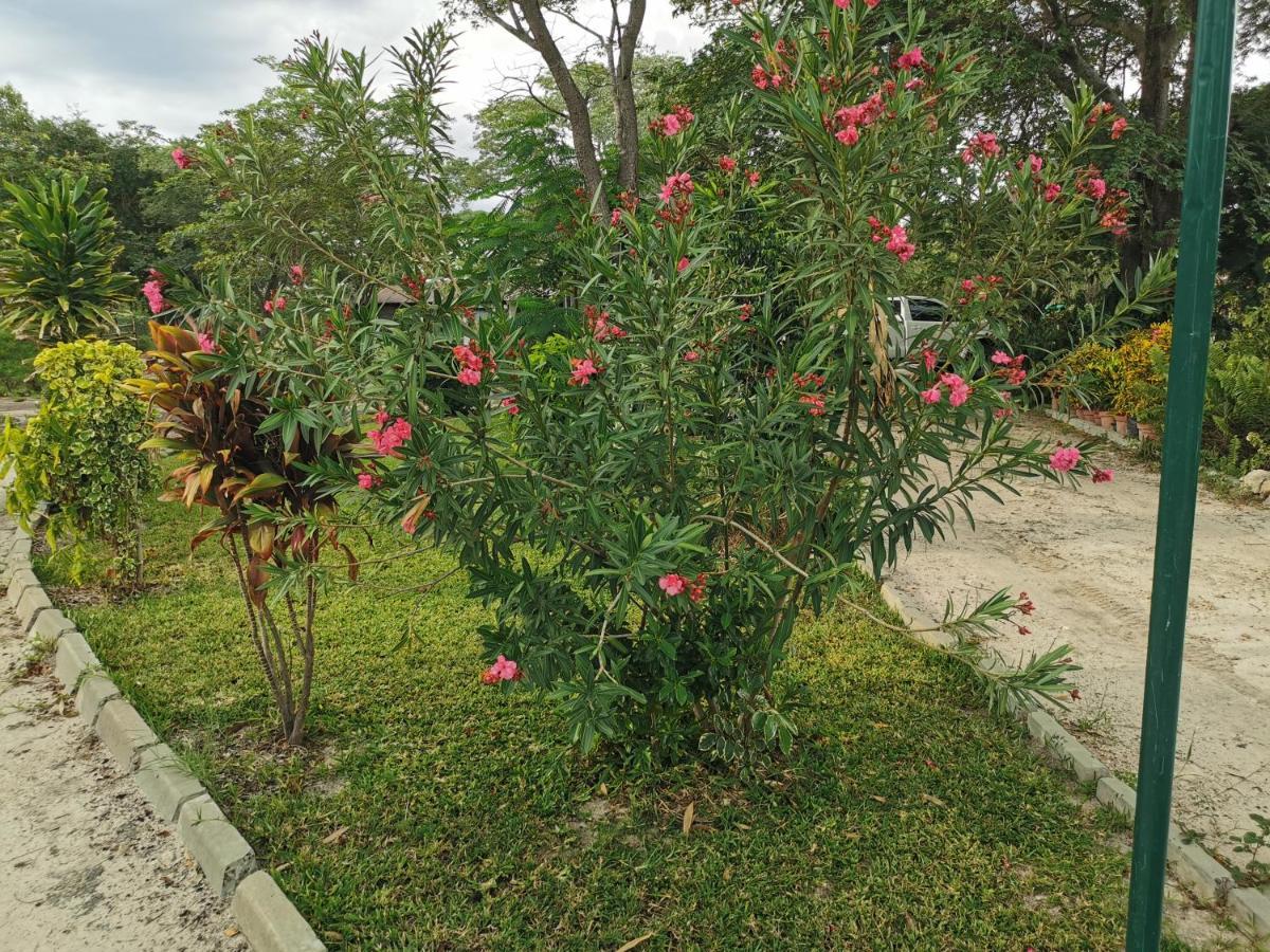 Happy Forest B&B Katima Mulilo Kültér fotó