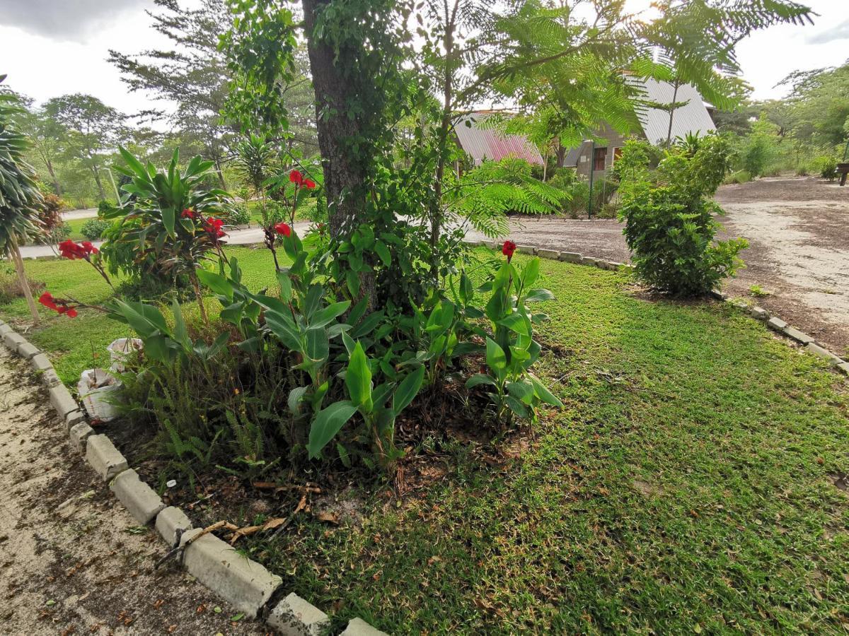 Happy Forest B&B Katima Mulilo Kültér fotó